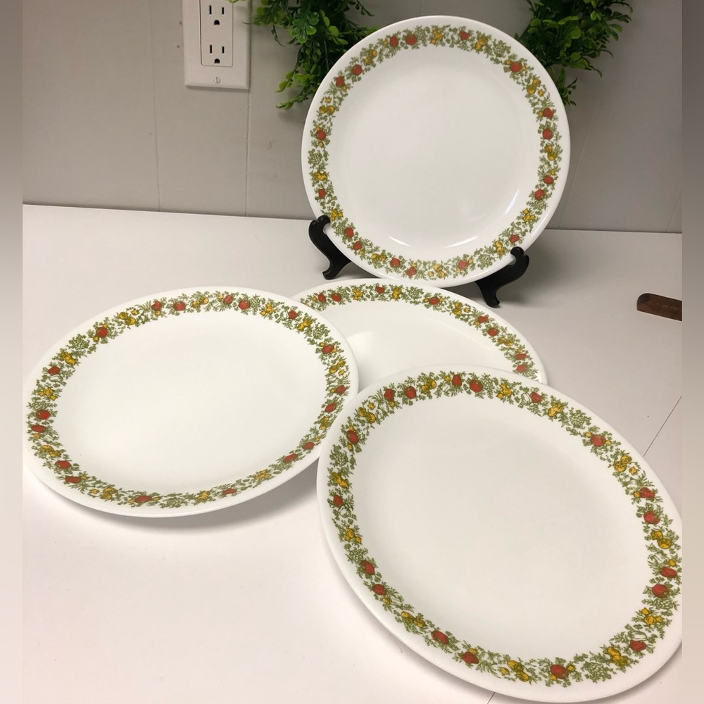 Corelle “Spice of Life” 10 1/4” Plates Set of 4 in Excellent Condition